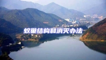蟻巢結(jié)構(gòu)和消滅辦法