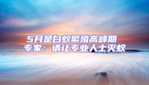 5月是白蟻繁殖高峰期 專家:請(qǐng)讓專業(yè)人士滅蟻