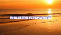 如何科學有效的防治跳蚤