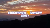 如何消滅蟑螂,徹底殺滅蟑螂?