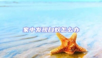 家中發現白蟻怎么辦