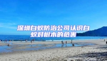 深圳白蟻防治公司認識白蟻對樹木的危害