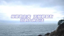 蟑螂的危害 滅蟑螂最有效的九種方法