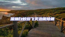 深圳白蟻紛飛滅治需除根