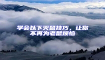 學會以下滅鼠技巧,讓你不再為老鼠煩惱