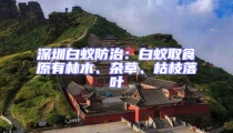 深圳白蟻防治:白蟻取食原有林木、雜草、枯枝落葉