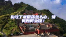 狗吃了老鼠藥怎么辦,請問如何處理?