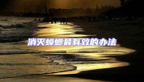 消滅蟑螂最有效的辦法