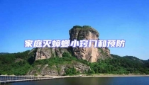 家庭滅蟑螂小竅門和預防
