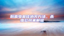 粉蠹蟲最佳消滅方法,殺蟲公司來解說