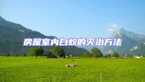 房屋室內白蟻的滅治方法