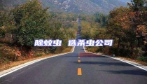 除蚊蟲 選殺蟲公司