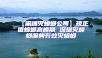 【深圳滅蟑螂公司】現正值蟑螂高峰期 深圳滅蟑螂服務有效滅蟑螂