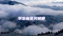 學生宿舍滅蟑螂
