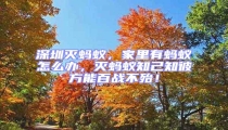 深圳滅螞蟻,家里有螞蟻怎么辦,滅螞蟻知己知彼方能百戰不殆!