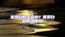 發(fā)現(xiàn)白蟻怎么辦?聯(lián)系白蟻防治中心