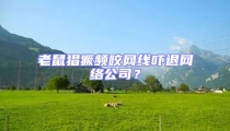 老鼠猖獗頻咬網線嚇退網絡公司?