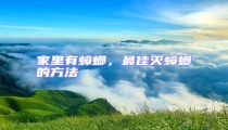 家里有蟑螂,最佳滅蟑螂的方法