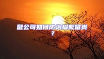 鼠公司如何防治猖獗鼠類?