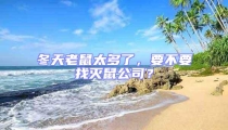 冬天老鼠太多了,要不要找滅鼠公司?