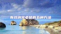 有效消滅老鼠的五種方法
