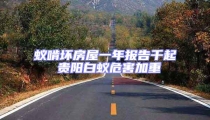 蟻啃壞房屋一年報告千起 貴陽白蟻危害加重
