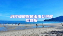 消滅蟑螂深圳殺蟲公司教您妙招