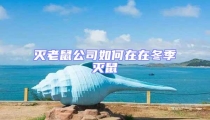 滅老鼠公司如何在在冬季滅鼠