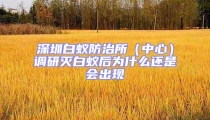 深圳白蟻防治所(中心)調(diào)研滅白蟻后為什么還是會(huì)出現(xiàn)