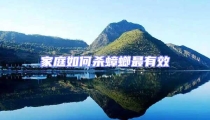 家庭如何殺蟑螂最有效