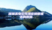 深圳殺蟲公司淺談蟑螂難殺的原因