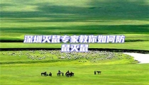 深圳滅鼠專(zhuān)家教你如何防鼠滅鼠