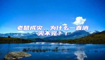 老鼠成災,為什么一直消滅不完?!