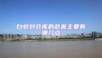 白蟻對倉庫的危害主要有哪幾點