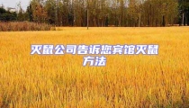 滅鼠公司告訴您賓館滅鼠方法