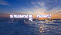 發現白蟻危害,找白蟻公司