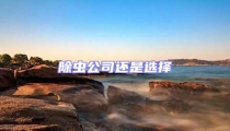 除蟲公司還是選擇