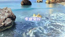 專業(yè)蟲控