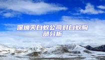 深圳滅白蟻公司對白蟻胸部分析