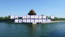 夏天一到蒼蠅就出來(lái),除蟲公司教你如何防治