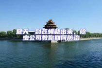 夏天一到蒼蠅就出來，除蟲公司教你如何防治