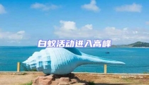 白蟻活動進入高峰
