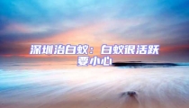深圳治白蟻:白蟻很活躍要小心