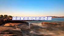 深圳家庭如何防治老鼠