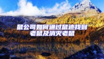 鼠公司如何通過鼠跡找到老鼠及消滅老鼠