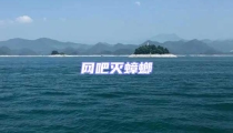 網(wǎng)吧滅蟑螂
