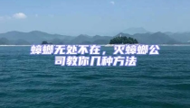 蟑螂無處不在,滅蟑螂公司教你幾種方法