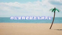 辦公室有老鼠怎么消滅它