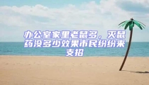 辦公室家里老鼠多,滅鼠藥沒多少效果市民紛紛來支招