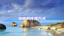 蟑螂的傳播方式